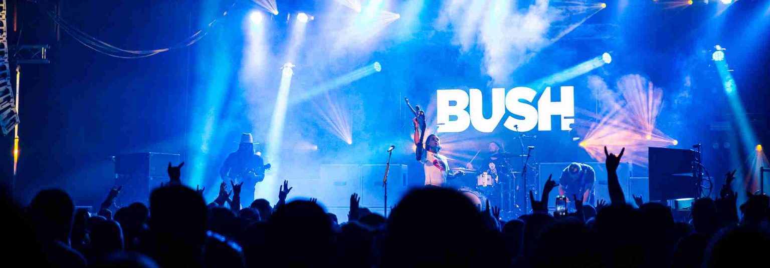 Bush