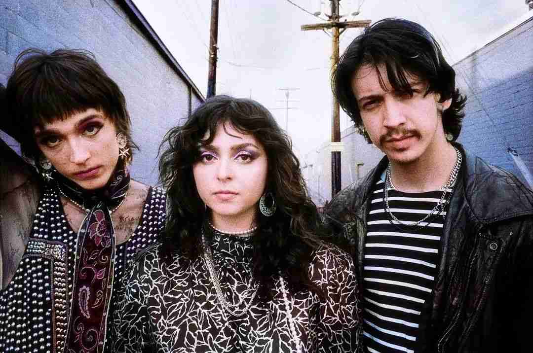 The Velveteers