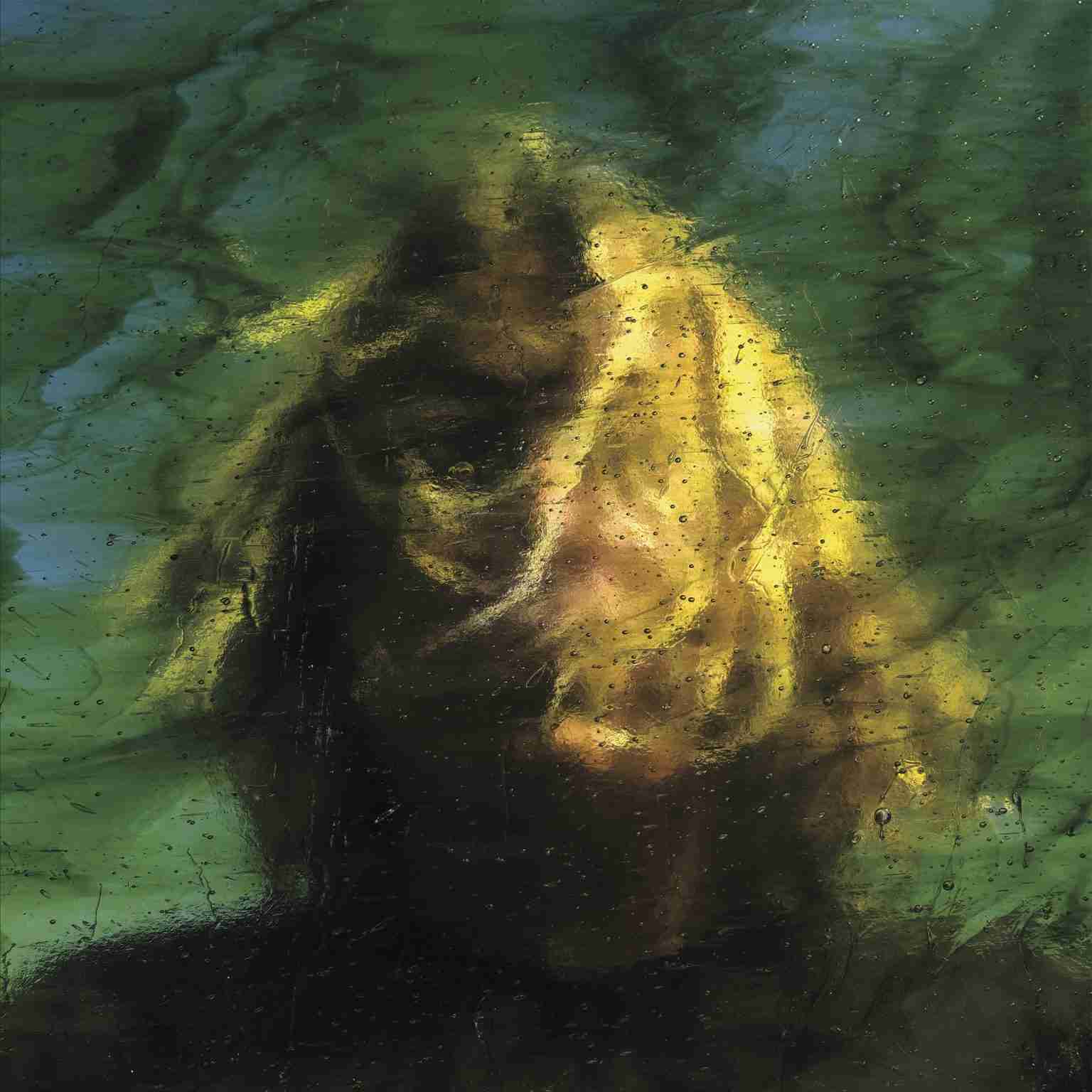 Ty Segall